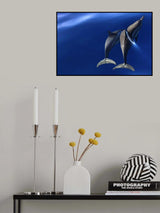 Ondulation Poster och Canvastavla