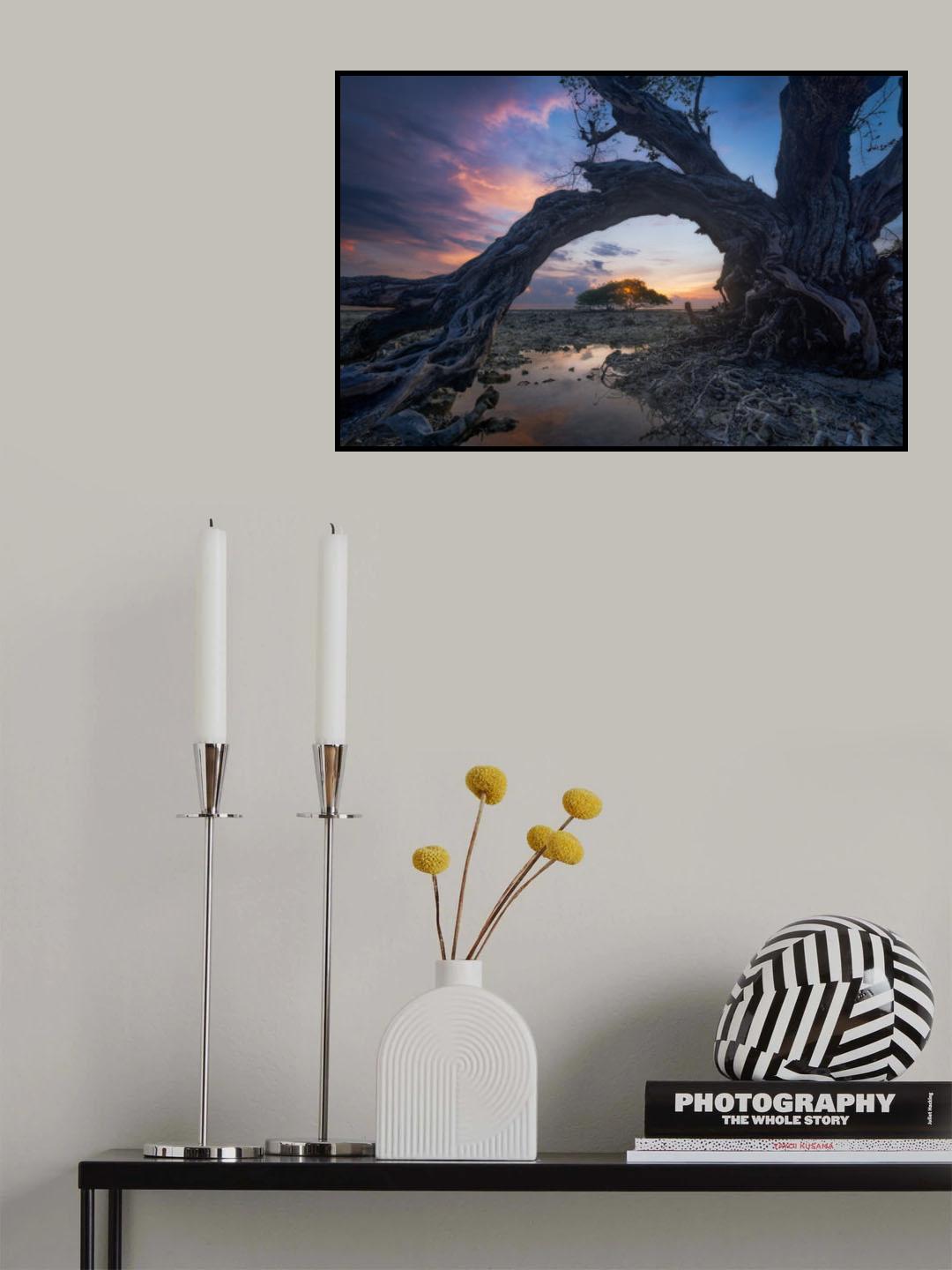 dry Poster och Canvastavla