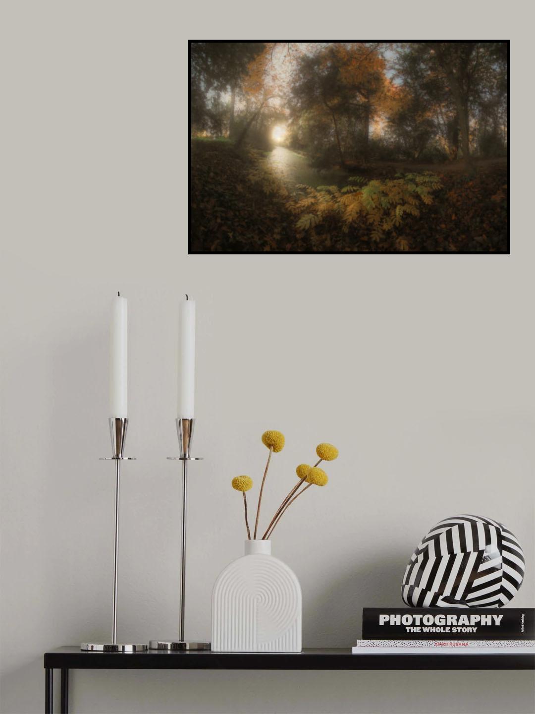 Autumn at Balaine Poster och Canvastavla