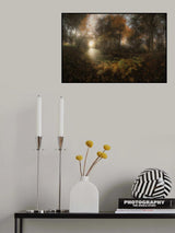 Autumn at Balaine Poster och Canvastavla