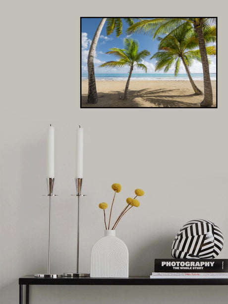 Palmy Beach II Poster och Canvastavla