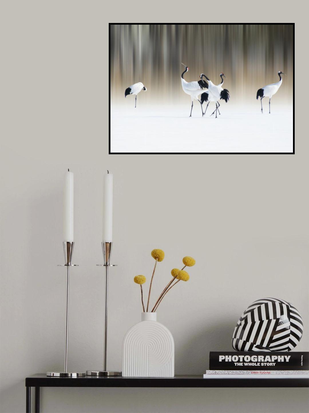 Red-crested white cranes Poster och Canvastavla