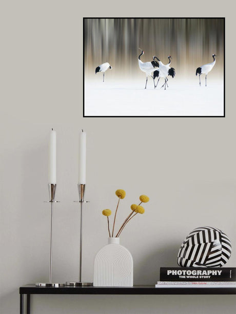 Red-crested white cranes Poster och Canvastavla