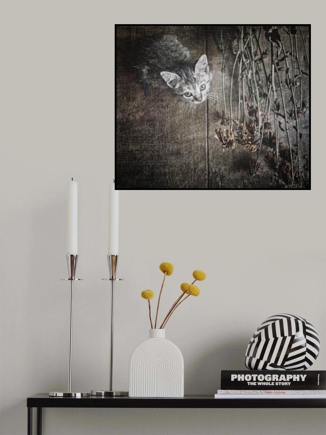 Somewhere out there Poster och Canvastavla
