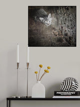 Somewhere out there Poster och Canvastavla