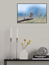 Looking Poster och Canvastavla