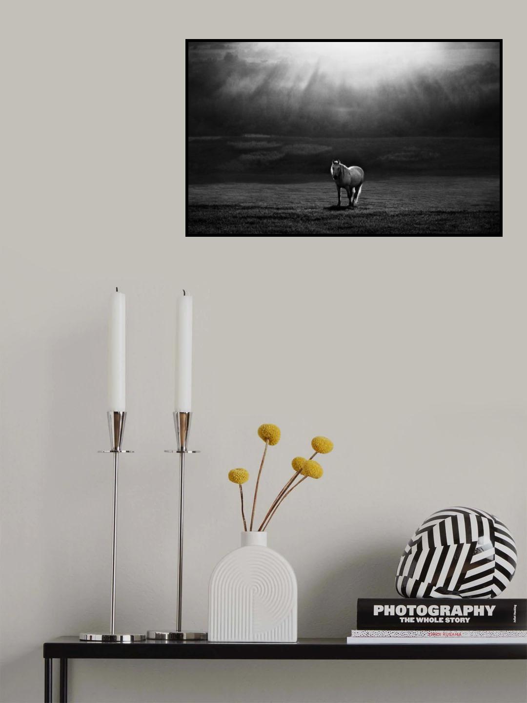 morning appearance Poster och Canvastavla