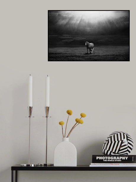 morning appearance Poster och Canvastavla