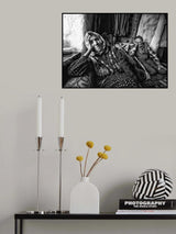 old years Poster och Canvastavla