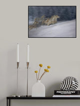 winter scene Poster och Canvastavla