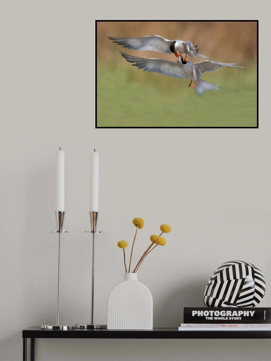 sterne Poster och Canvastavla