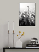 Sailing Poster och Canvastavla