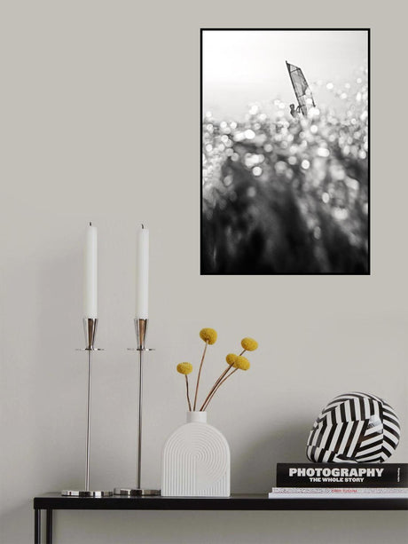 Sailing Poster och Canvastavla