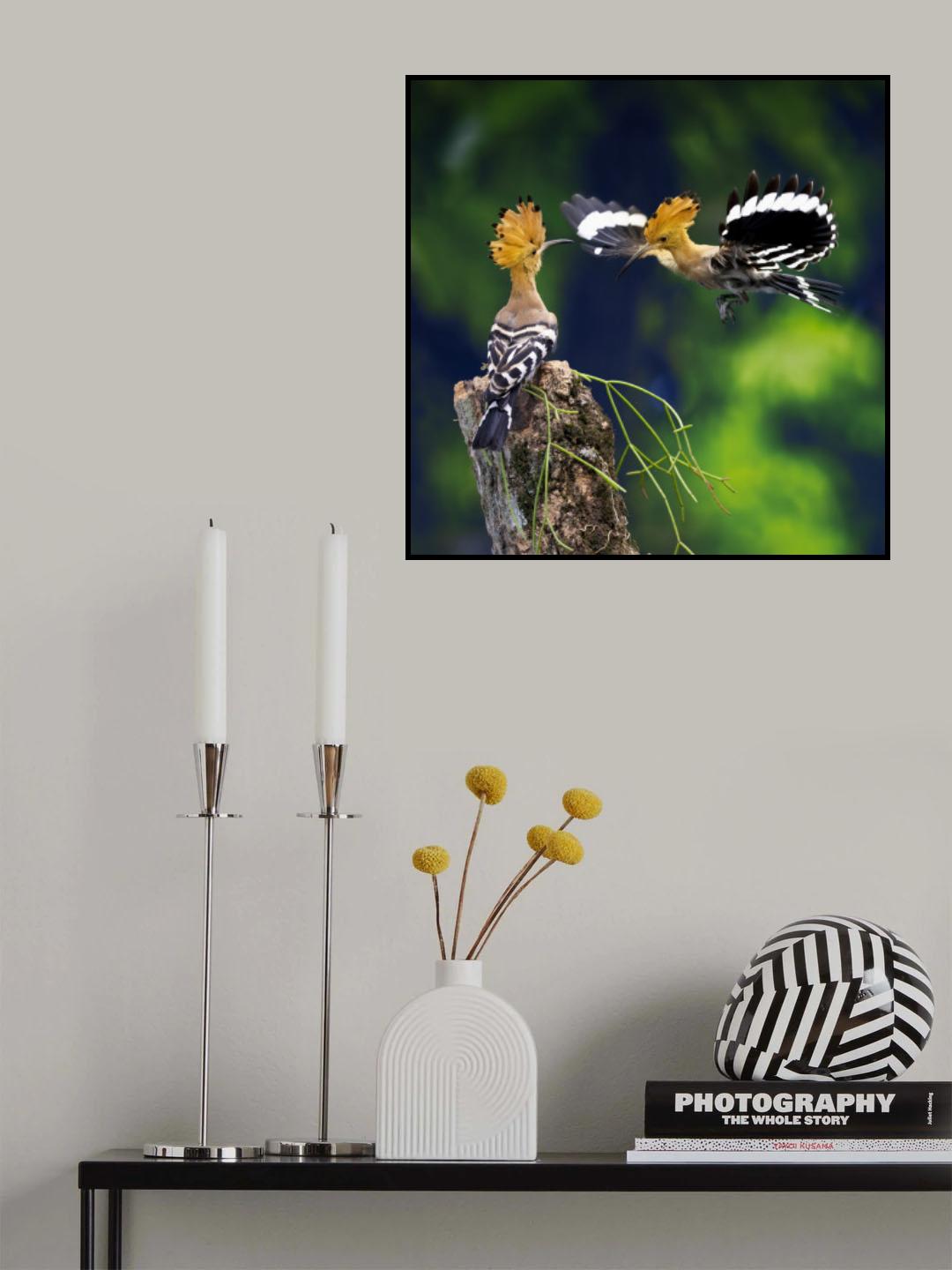 Poster och Canvastavla