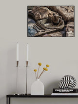 tanner Poster och Canvastavla