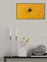 Maize Poster och Canvastavla