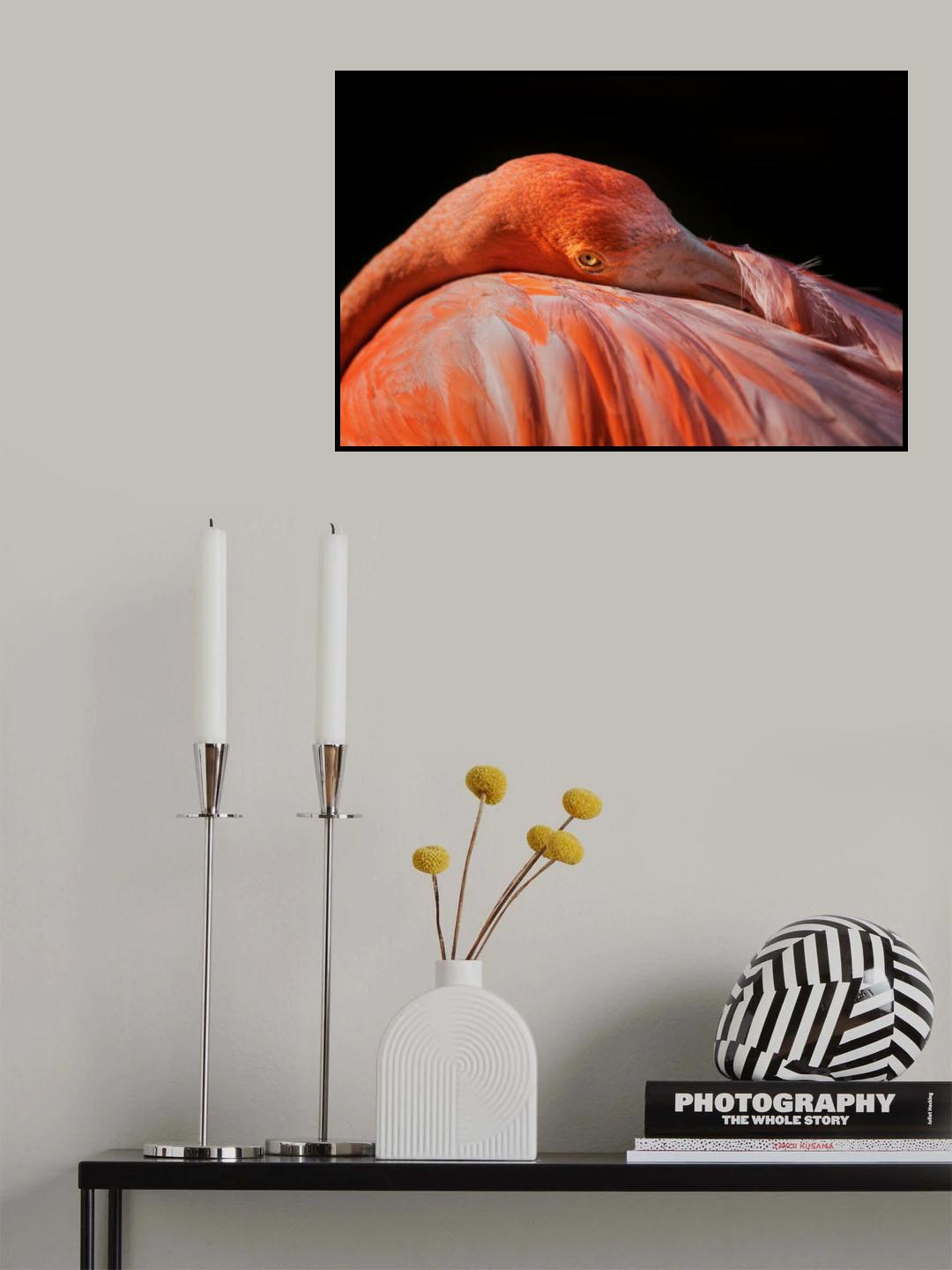 I can see you Poster och Canvastavla