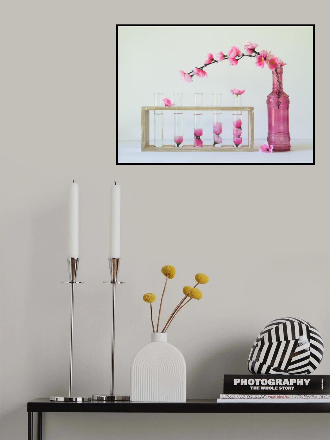 Petal Collecting Poster och Canvastavla