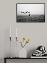 trees are friends Poster och Canvastavla