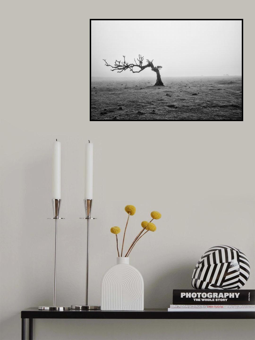 trees are friends Poster och Canvastavla