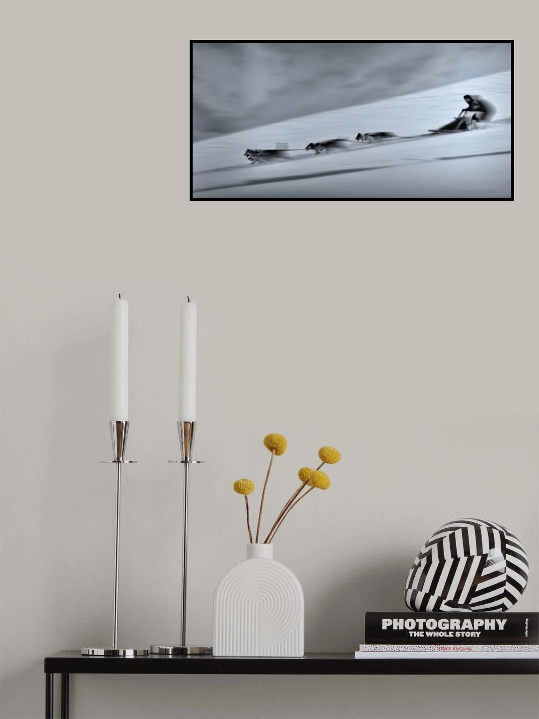 Mushing Poster och Canvastavla