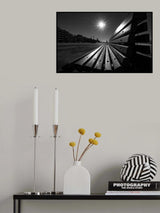 Stay away Poster och Canvastavla