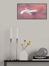 Flying Swans Poster och Canvastavla