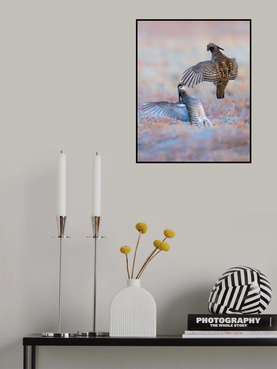 Greater Prairie Chicken-Morning Talking Poster och Canvastavla
