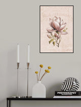 Magnolia Blush No1 Poster och Canvastavla