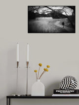 Poster och Canvastavla