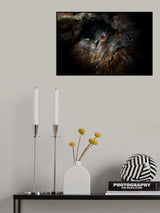 Just follow the rope... Poster och Canvastavla