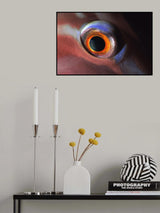 In the Eye Poster och Canvastavla