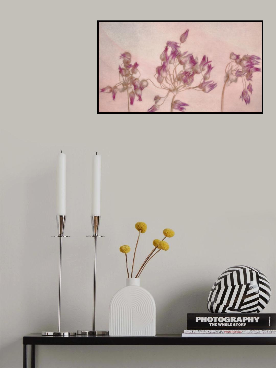 PINK Poster och Canvastavla