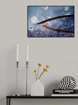 Violet Poster och Canvastavla