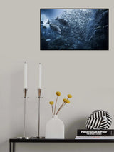 Underwater exploration Poster och Canvastavla