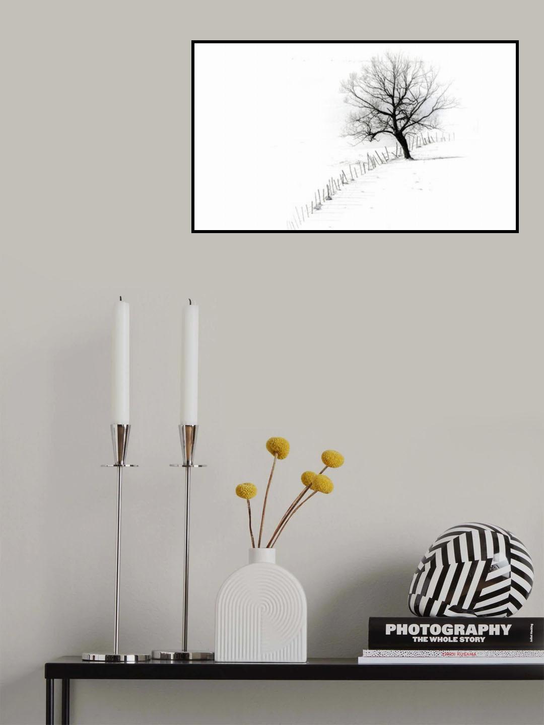 A single tree Poster och Canvastavla