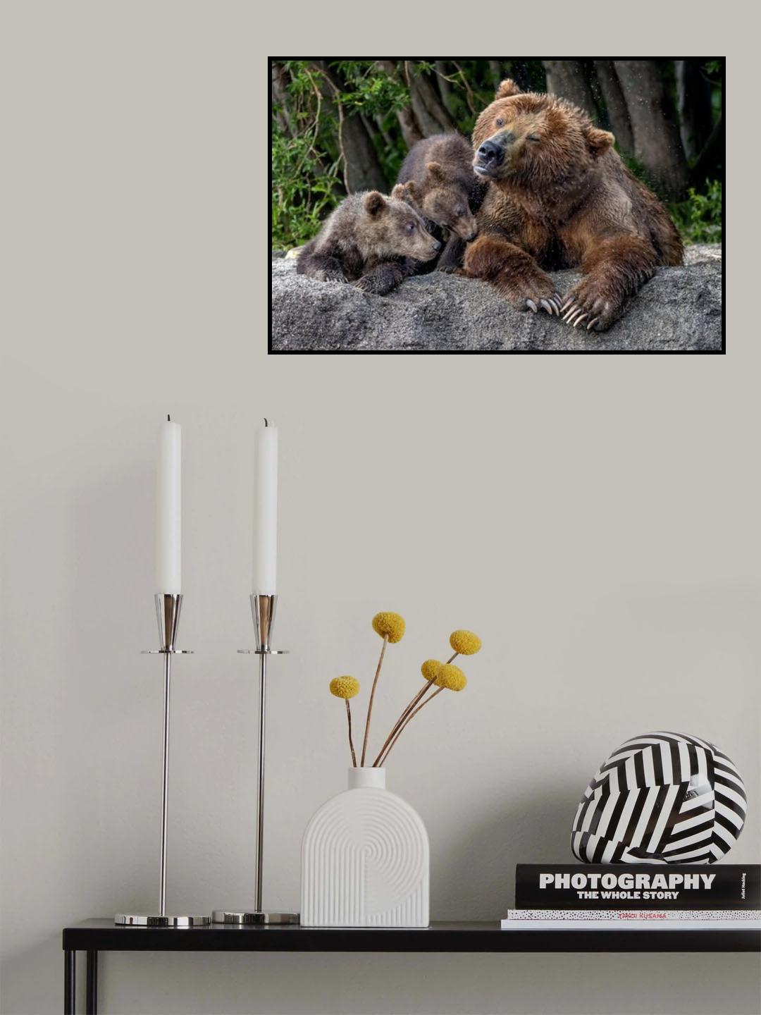 Mother's bear shaking Poster och Canvastavla