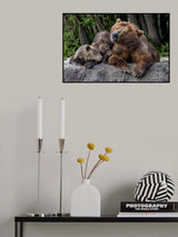 Mother's bear shaking Poster och Canvastavla
