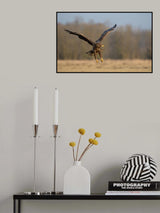 3D Poster och Canvastavla