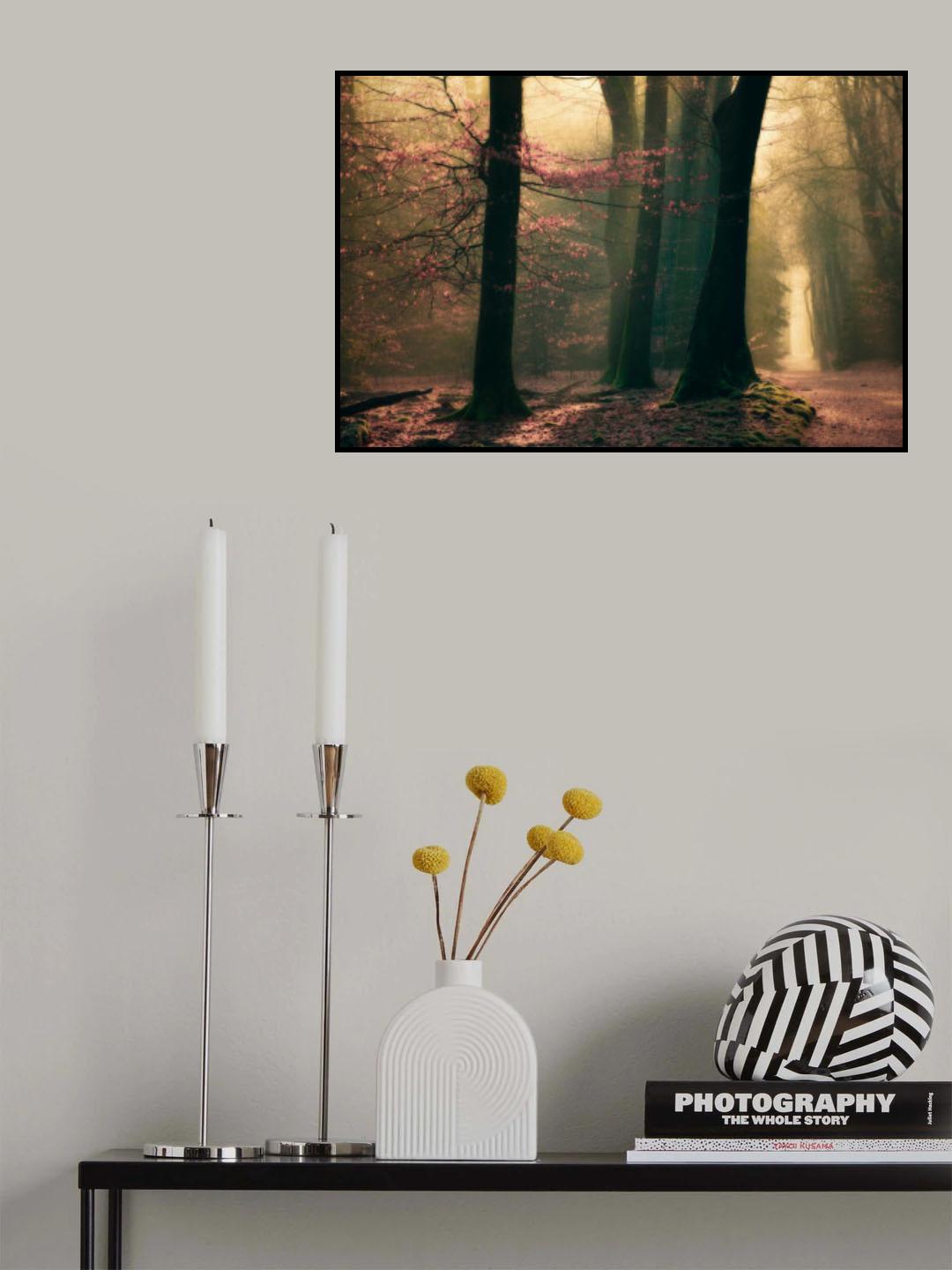 Land of elfs Poster och Canvastavla