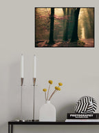 Land of elfs Poster och Canvastavla