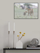 Searching for Breakfast Poster och Canvastavla