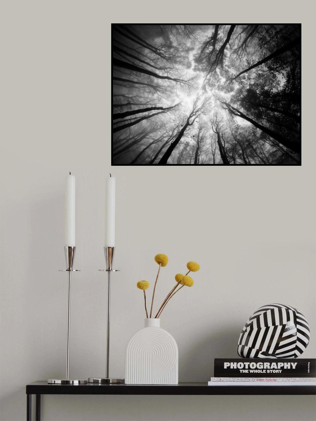 Tree Tops Poster och Canvastavla