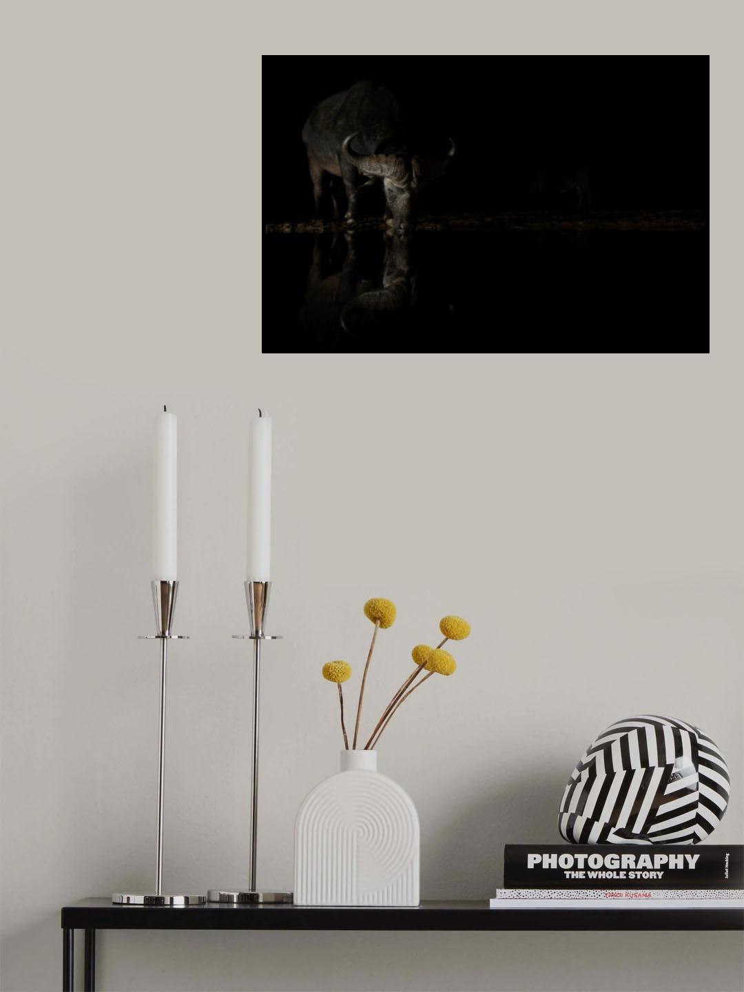 Buffalo I Poster och Canvastavla
