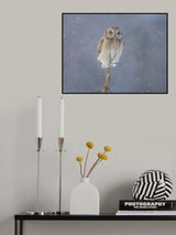 On a snowing day Poster och Canvastavla