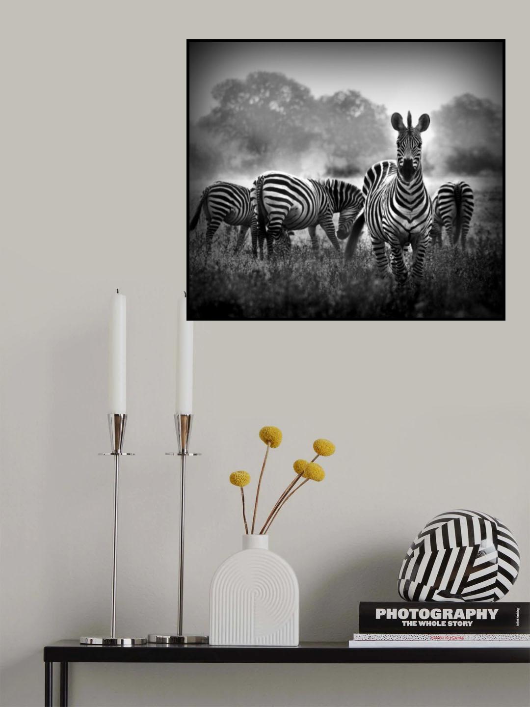 Stallion in a Pin Stripe Suit Poster och Canvastavla