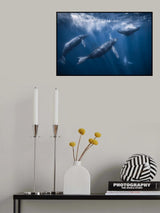 Remastered oldies Poster och Canvastavla
