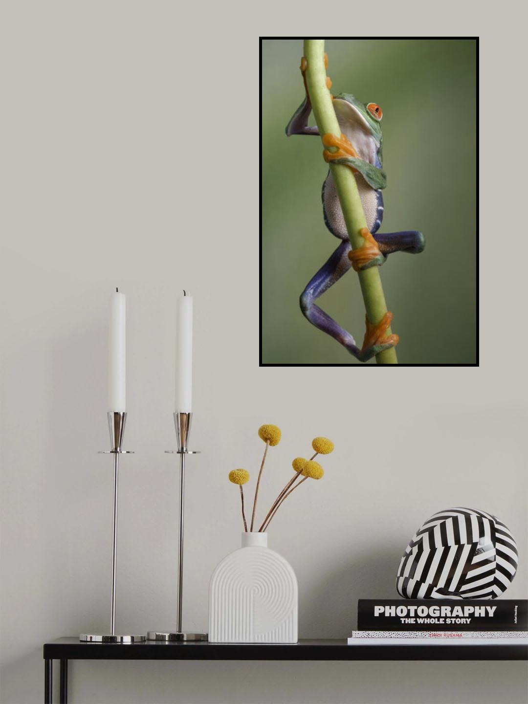 Ascending Poster och Canvastavla