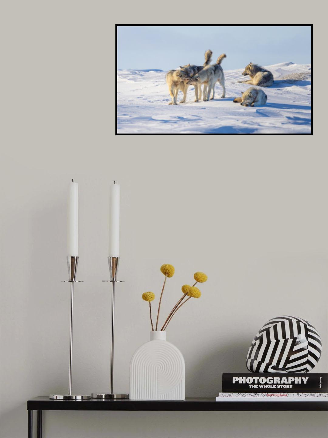 Wake up Poster och Canvastavla