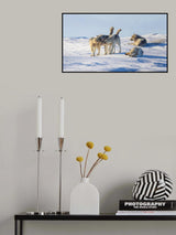 Wake up Poster och Canvastavla
